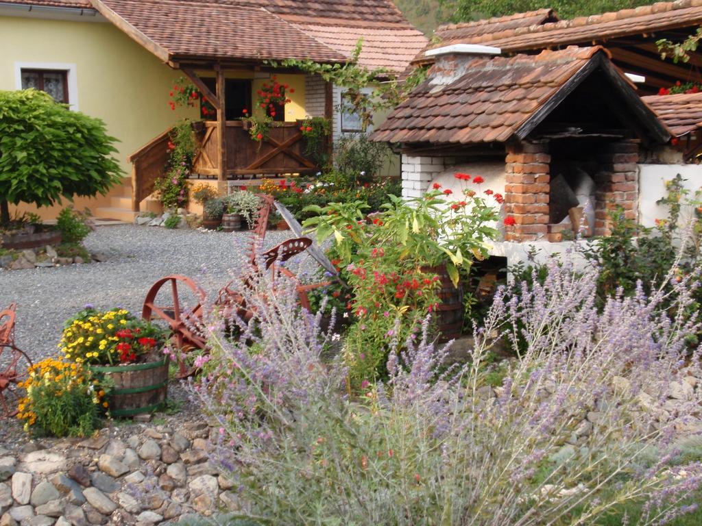 Country House Stara Kapela Nova Kapela Exterior foto